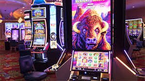 f55 bet
